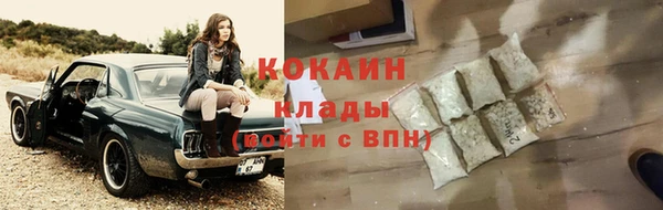 твердый Алексеевка