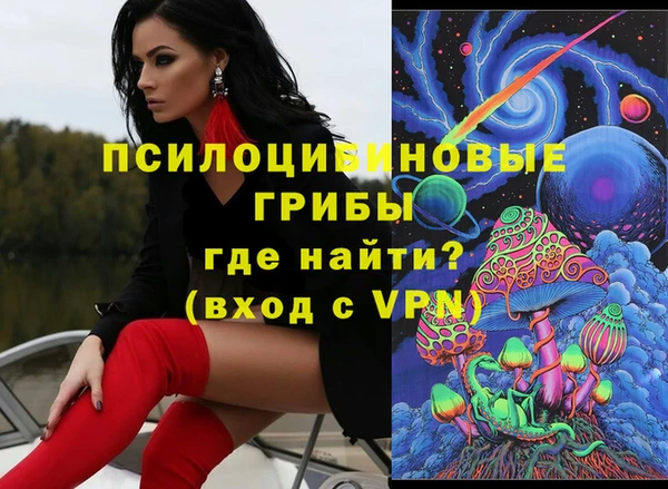 твердый Алексеевка