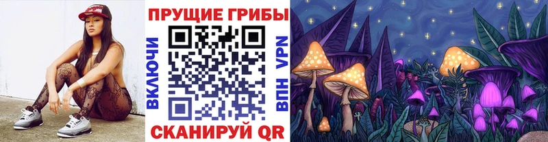 Псилоцибиновые грибы MAGIC MUSHROOMS  хочу наркоту  Елец 